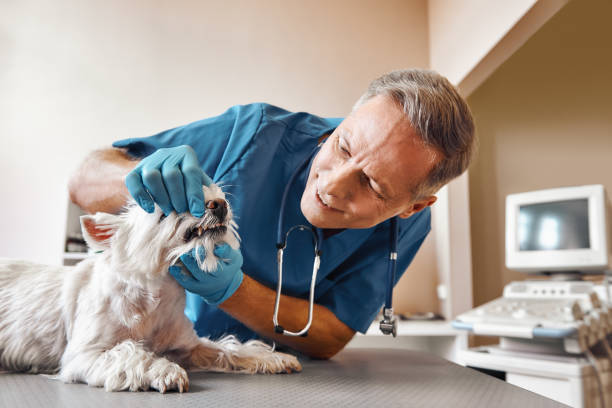 Best Tooth Pain Emergency Relief  in Winthrop, IA